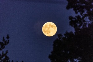 A large super moon in october 2025.